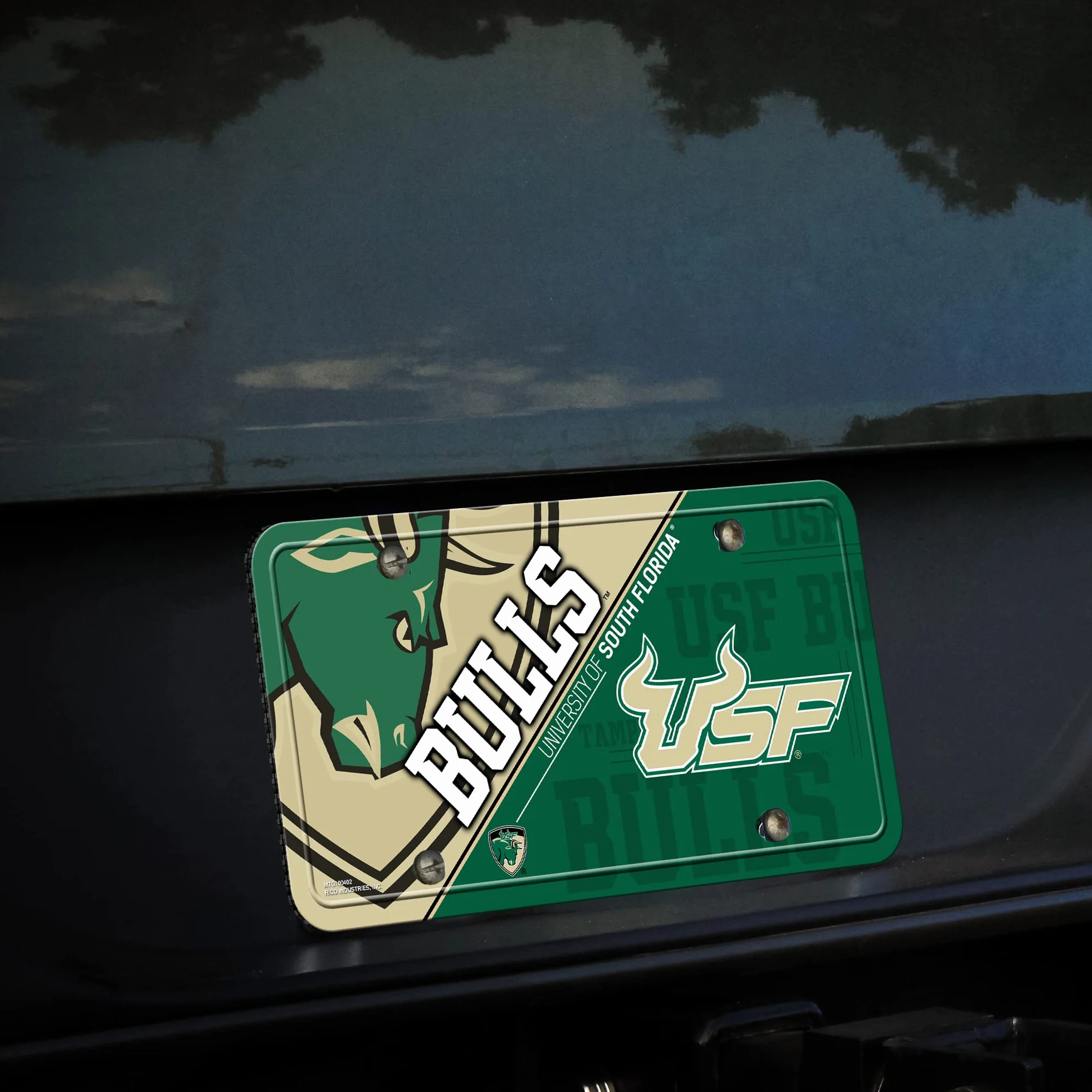 Rico Industries NFL Football Philadelphia Eagles Green Metal Tag, 12" x 6"