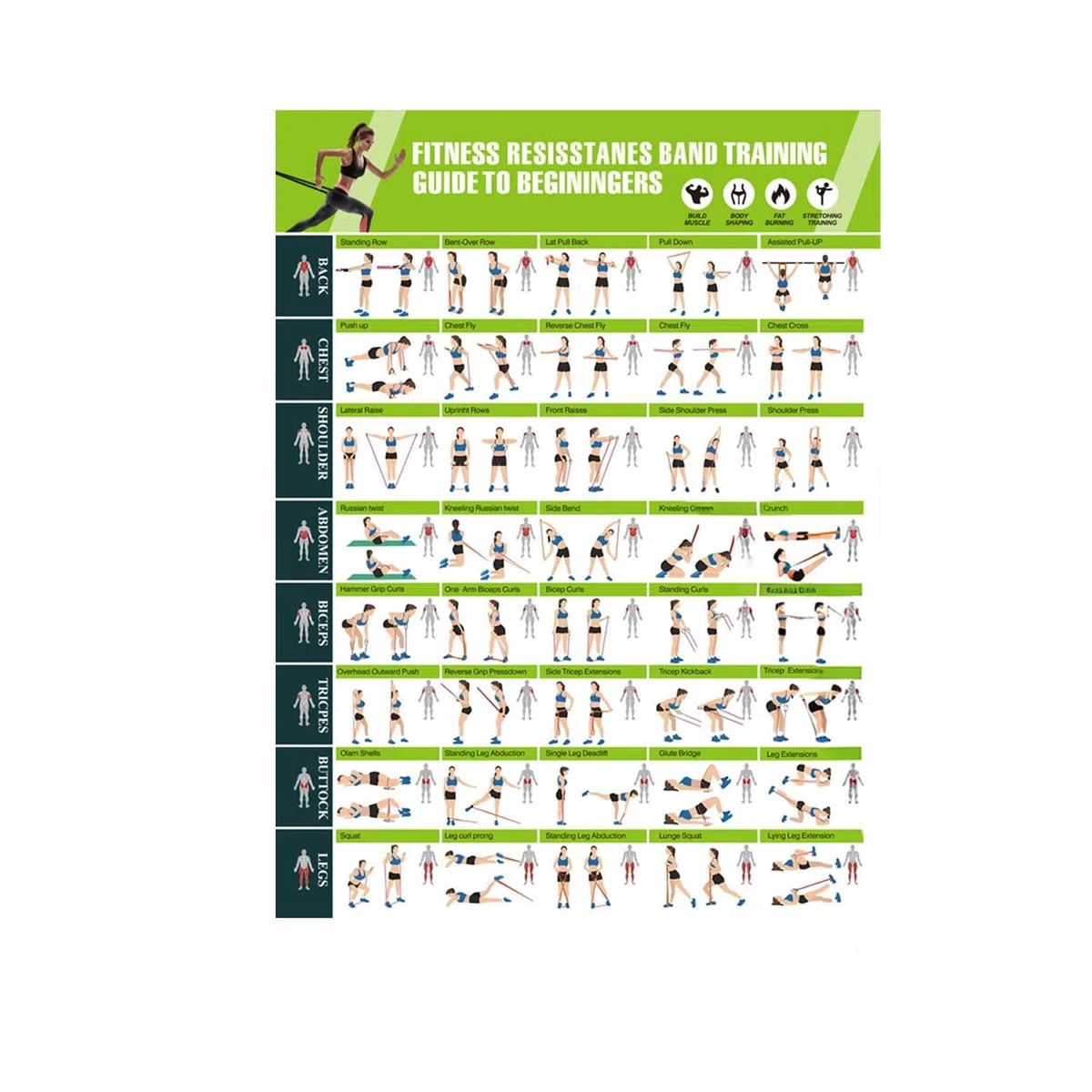 Cartelli con Grafico di Allenamento, Planner Carta Illustrato 42,8x57,4cm da 90g, Decorazione Murale con Fasce di Resistenza per Muscolatura, Stretching, Yoga, Allenamento, per Casa, Club, Uomini