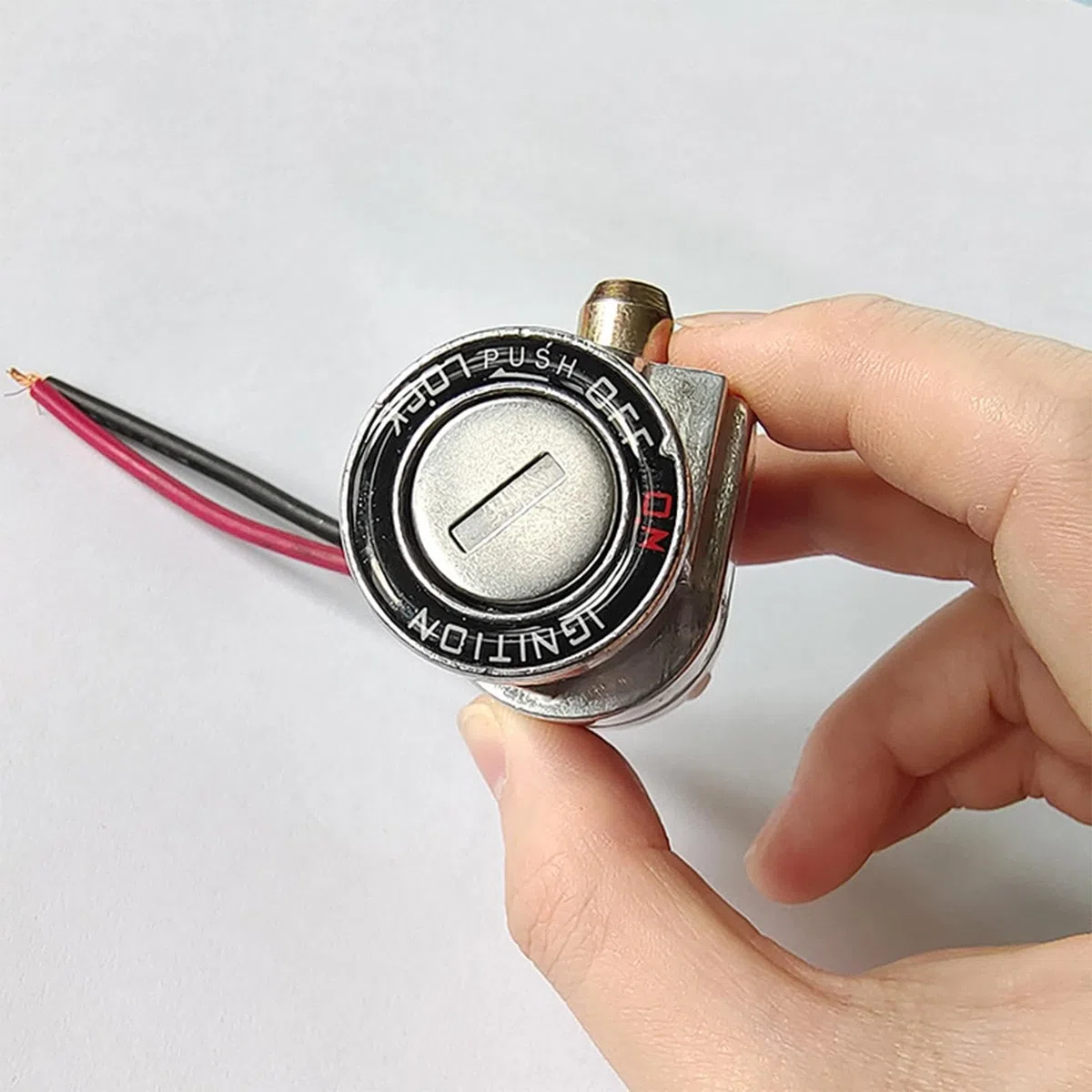 rockible Serratura a Cilindro della Batteria, Blocco Dell'accensione, Accessori per Batterie da 2,7 Pollici, Blocco di Sicurezza Impermeabile per Elet