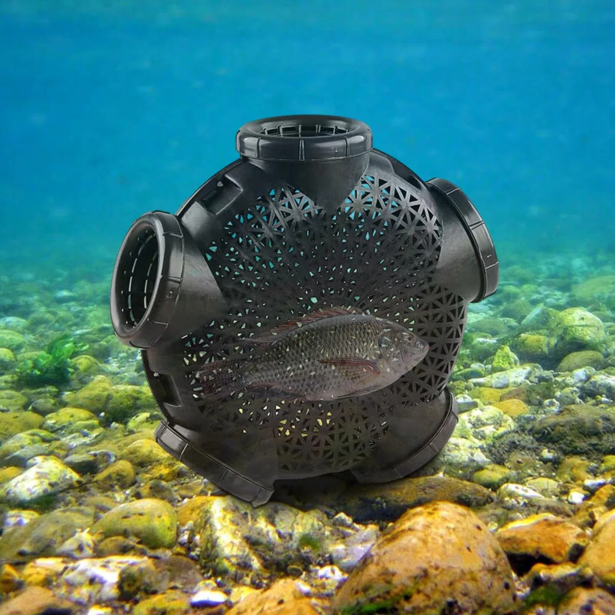 Trappola per esche da pesca, Trappola per aragoste, Gabbia per anguilla e gamberetti a 5 fori, Trappole per gamberetti Anguilla, robuste e facili da usare, leggere, per catturare piccoli pesci con esc