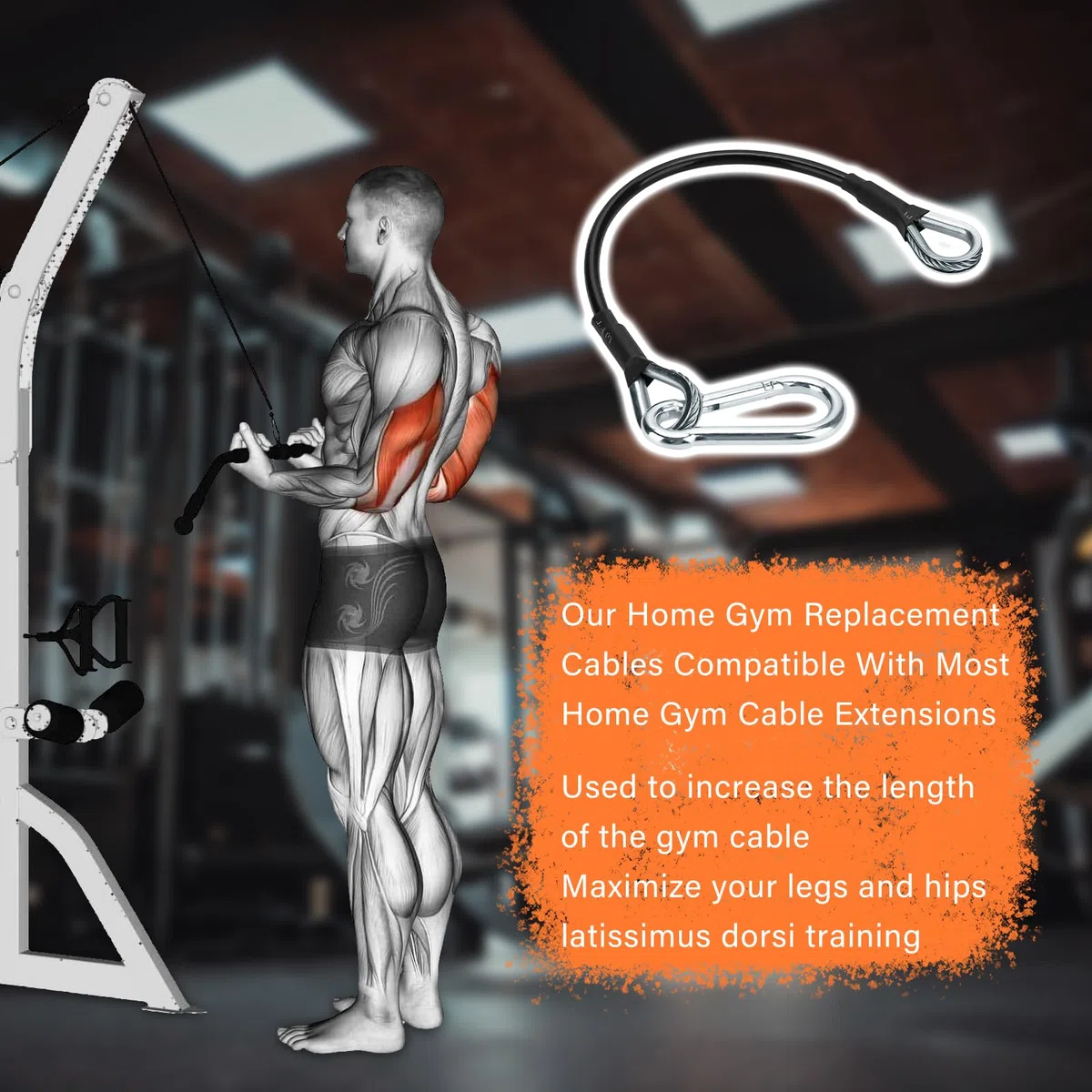 prolunga per Cavo da Palestra da 25,4 cm, Compatibile con Accessori Bowflex Home Gym per LAT/tricipiti ed Estensioni delle Gambe